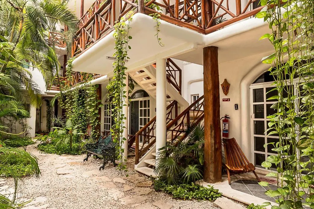 ** Hotel Estudios Selva Y Mar Playa del Carmen Mexico