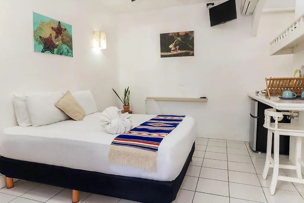 Estudios Selva Y Mar Playa del Carmen Hotel