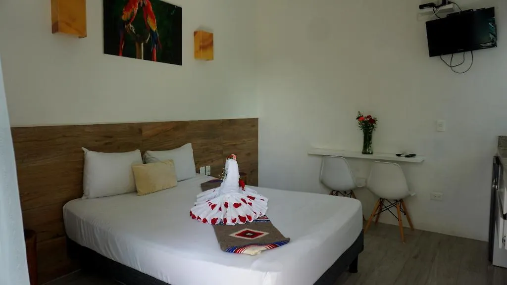 Estudios Selva Y Mar Playa del Carmen