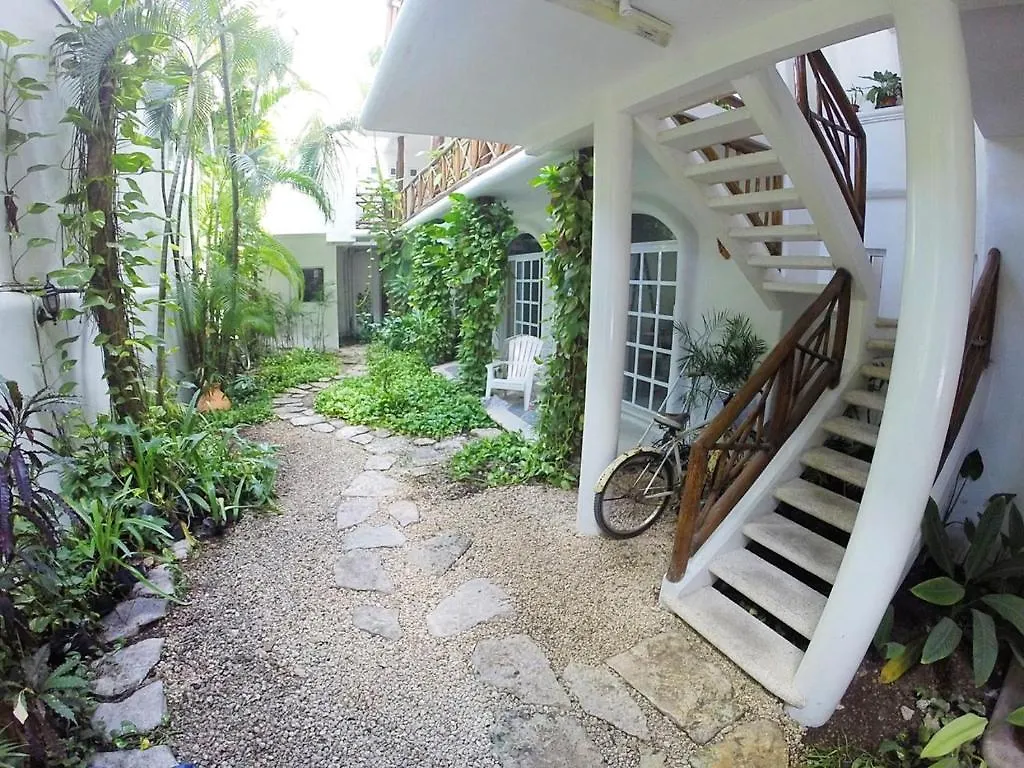 Estudios Selva Y Mar Playa del Carmen Mexico