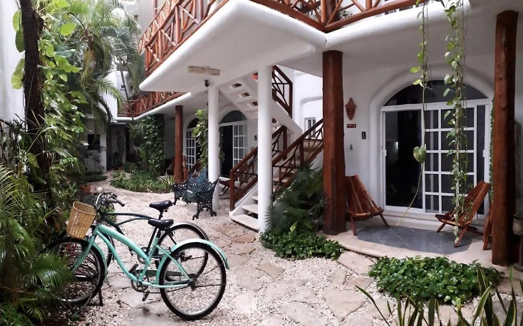 Estudios Selva Y Mar Playa del Carmen Hotel