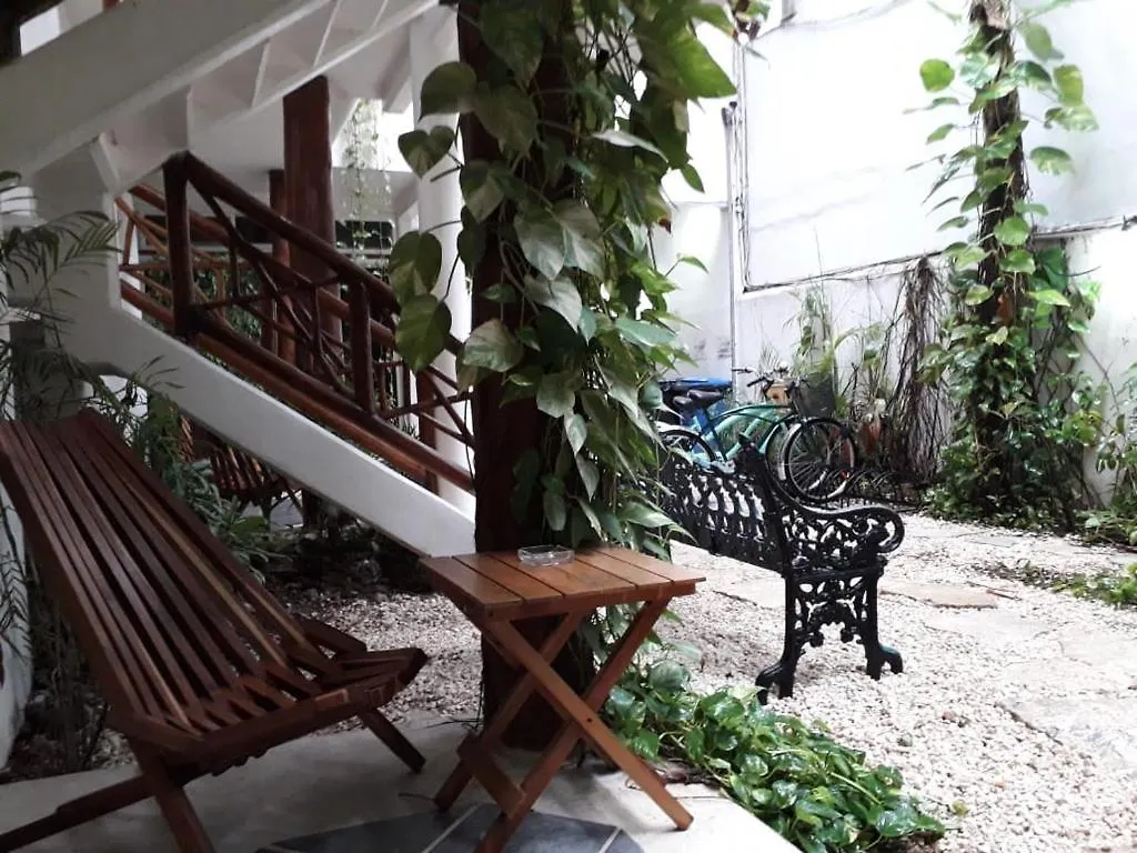 Estudios Selva Y Mar Playa del Carmen